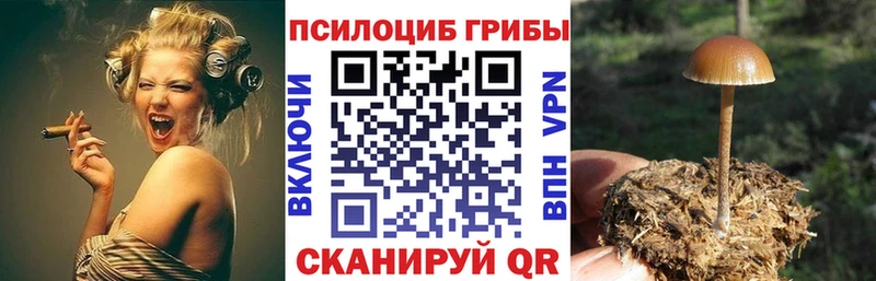 Купить  Красноярск  Галлюциногенные грибы мицелий 
